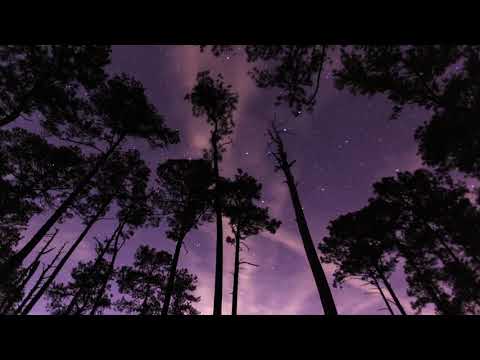 Sióg (Contráth) by Micko Roche, Jessie Roche (Official Video)