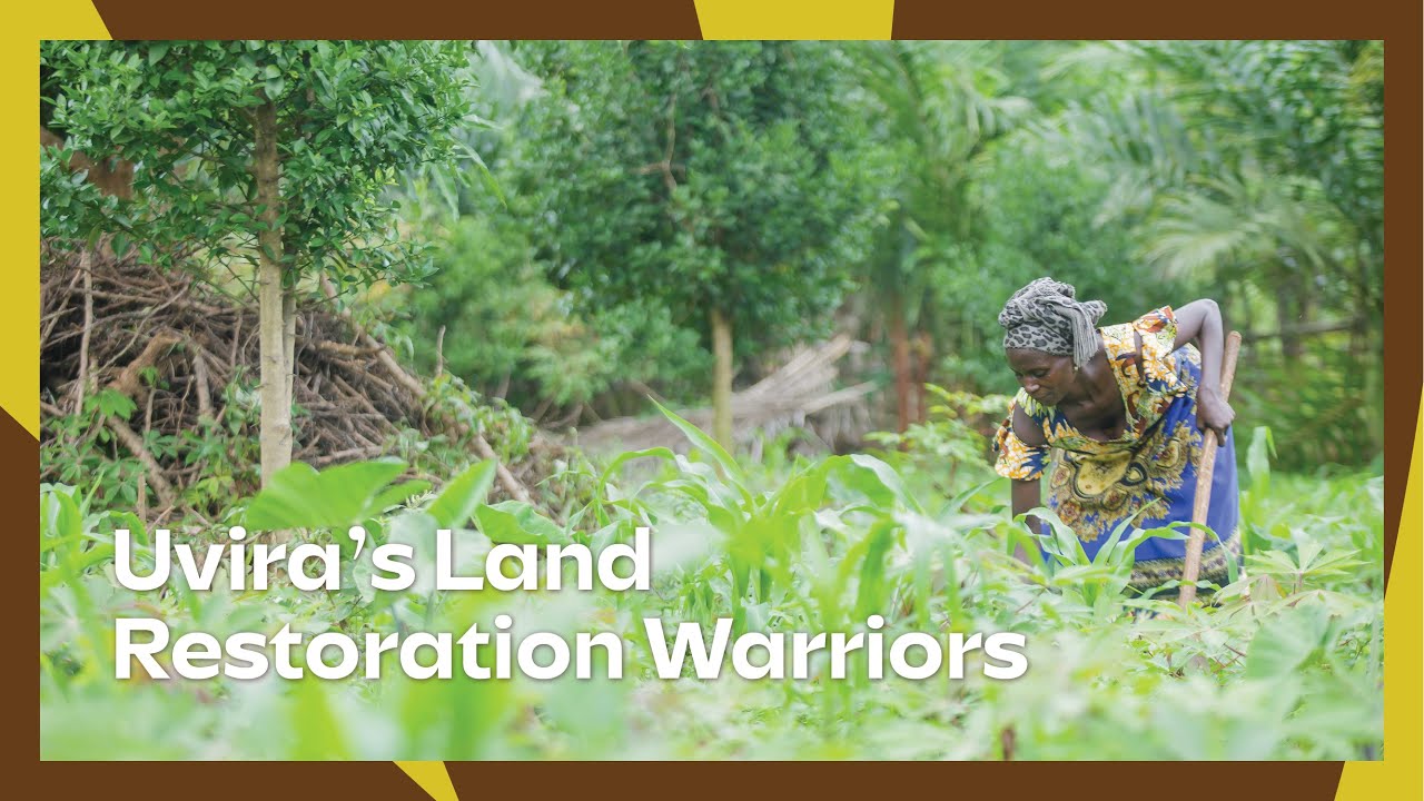 Uvira’s Unsung Heroes 🌱 | Fighting to Restore the Land