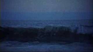 Tren Brothers "Angel #1" Music Video