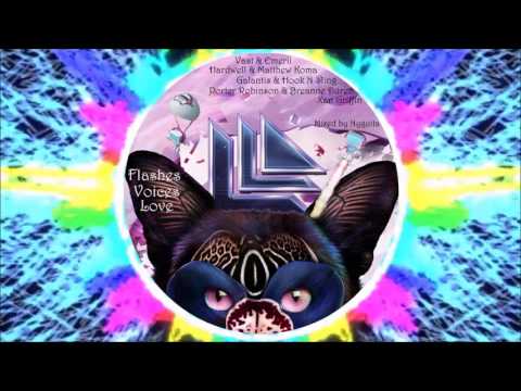 Vast,Hardwell& Matthew Koma,Porter Robinson,Galantis& Hook N Sling,Xan Griffin-Flashes,Voices& Love