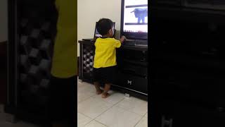 Socks bala performance by kiddo's