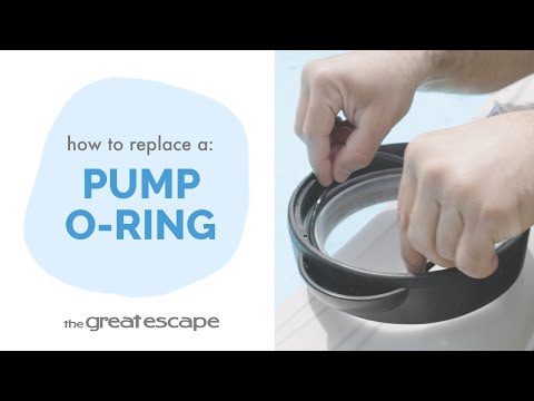 Part of a video titled Pump Perfection: Replacing Your Pool Pump's O-Ring - YouTube