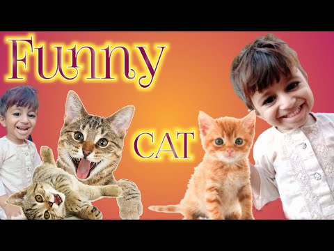 Funny billi Vs bachcha Video 2023 | Funny Cat Video | Abdul Hannan Niaz |