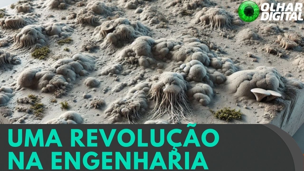 Living concrete regenerates and can revolutionize civil construction