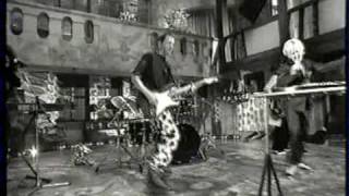 Cyndi Lauper - You Don&#39;t Know (Noel&#39;s House Party)