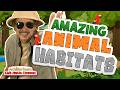 Amazing Animal Habitats! | Jack Hartmann