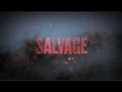 Salvage Trailer