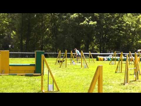 Chorzów jumping open