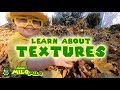 Learn About Textures Mega Milo