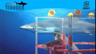 DIA 2 Expo Tiburon195