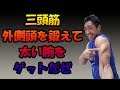 三頭筋の外側頭を狙った自重トレーニングで腕を太くしよう!