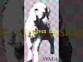 Some Velvet Sidewalk "Right/Wrong" [fragment] 1992