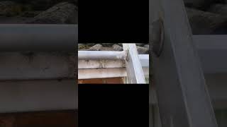 Album cover: Raindrops roofing services Ltd 