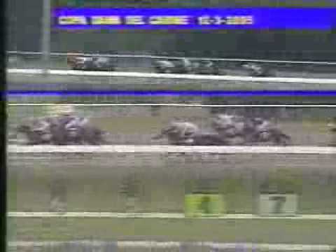 Copa Dama del Caribe 2005