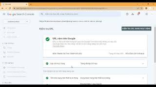 Demo đọc các chỉ số trên Google search console,  chỉ số nào phản ánh hiệu quả mobile
