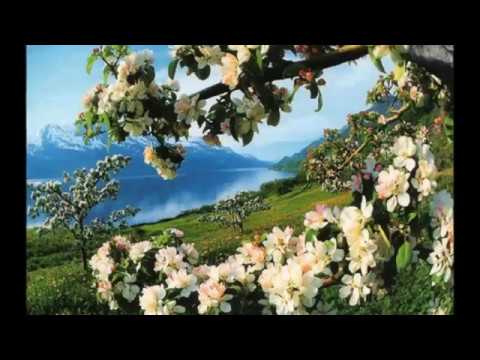 DOBRA NOC , DOBRY DZIEŃ