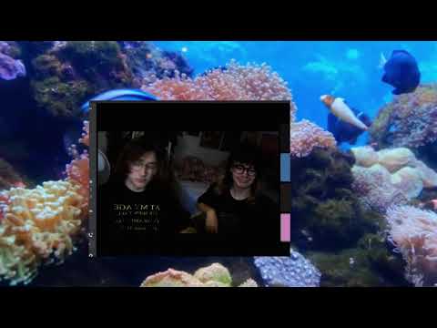 Smams - '''Action Buildup'' Official Video [HD]