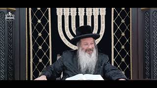 הרה"ג ר' שמעון שנייבלג שליט”א | דבר חינוך אקטואלי מהפרשה | פרשת תולדות | עברית