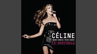Dans un autre monde (Live at Bell Centre, Montreal, Canada - 2008)