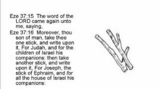 Valley of the Dry Bones