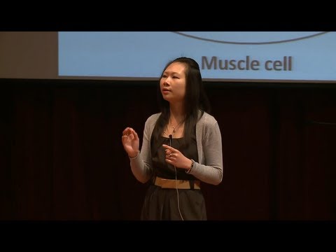 Three Minute Thesis (3MT) 2011 - Shervi Lie