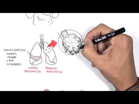 Control Of Respiration regulation of breathing