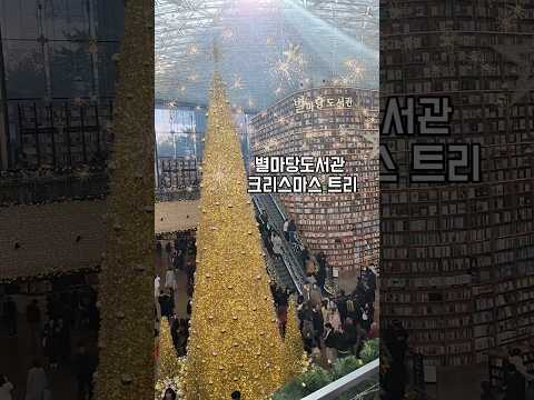 별마당도서관 크리스마스 트리, 아이랑 갈만한곳, 실내데이트 추천