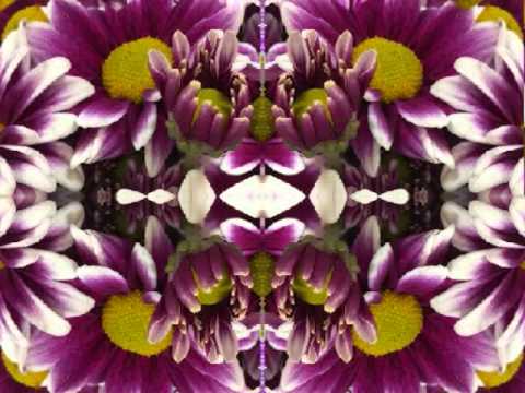 Radio Waves (by the Bap Kennedy Trio live in Italy, 2014)