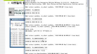 13강 oracle 11g SQL SQL 변환함수(오라클 Conversion function)