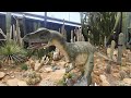 Walk With Us As We Explore Garden World Braeside Australia