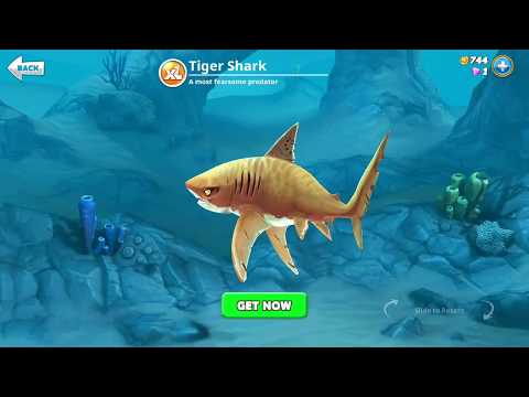 hungry shark world, tiger shark