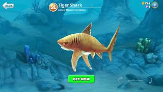 hungry shark world, tiger shark (3D Motion)