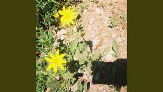 Download lagu adapted_07-21-25_02'20' mp3