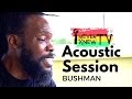 Bushman Live INKTV Acoustic Session Get It In Your Mind