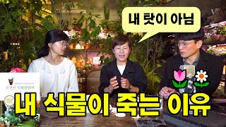 예뻐서 산 식물이 죽는 이유 : 당신 탓이 아닙니다