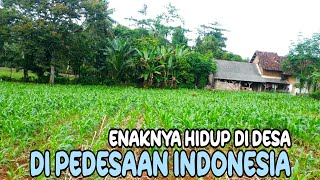 Download lagu KEHIDUPAN DI PEDESAAN INDONESIA mp3