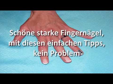 Das Mittel gegen gribka und des Mooses Die Creme für die Behandlung der Nägel der Beine