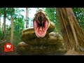 Anaconda Cursed Jungle 2024 Beheading The Snake 11 11 Movieclips