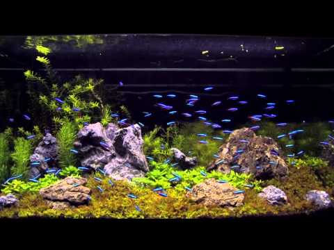 Watch Video on YouTube