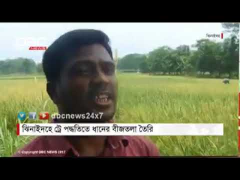 শৈলকূপা কৃষি ৩