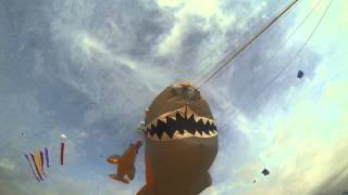 Festival du Vent Portiragnes 2015