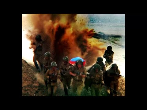 Bold - Chamdaa Heley (Official Music Video)