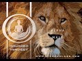 POWERFUL Super Alpha Male Most Powerful Alpha Male Program 8hz Alpha