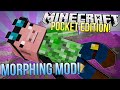 Minecraft Pocket Edition | MORPHING MOD | Mod ...