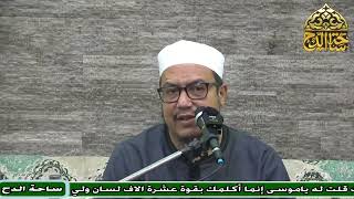 7 د. هشام الكامل، المجلس السابع (تاريخ التشريع الإسلامي) (ساحة الدح)