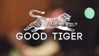 Good Tiger - Enjoy The Rain Bass Playthrough.