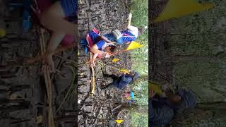 HOW TO PLANT MANGROVE TREE | PLANTING MANGROVE TREES
