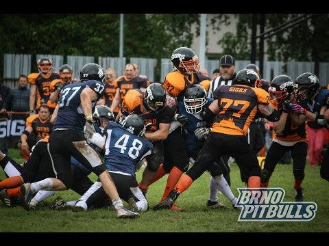 Brno Pitbulls nabor 2016