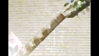 Sweet Child O&#39; Mine - Guns N&#39; Roses cover by 12 years old boy