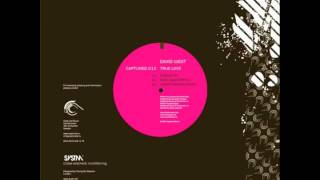 David West - True Love (Original Mix)